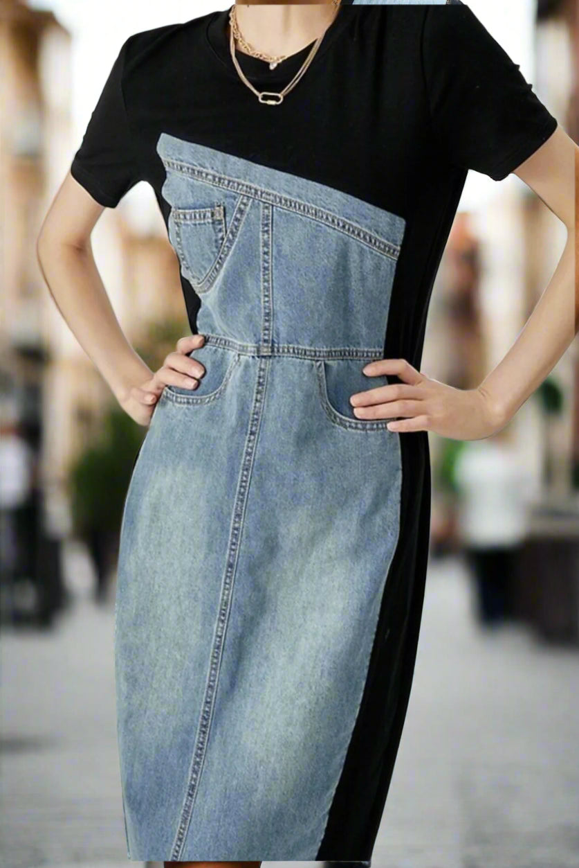 Denim Toya Dress