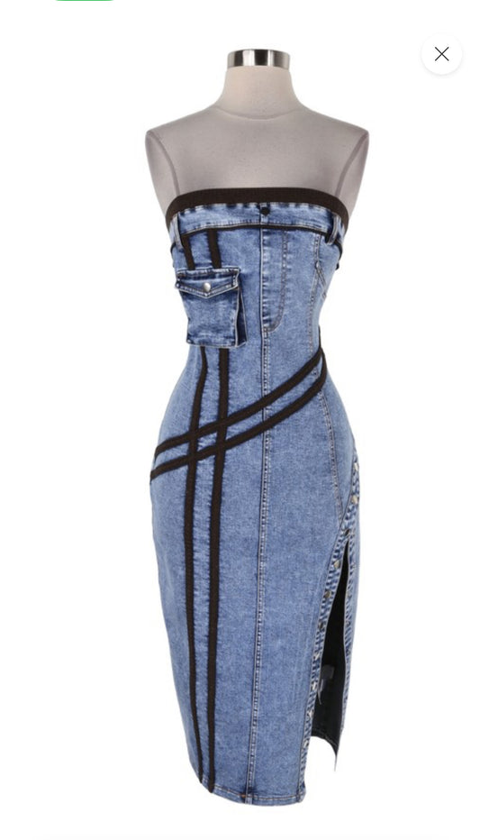 Fascet Denim Dress