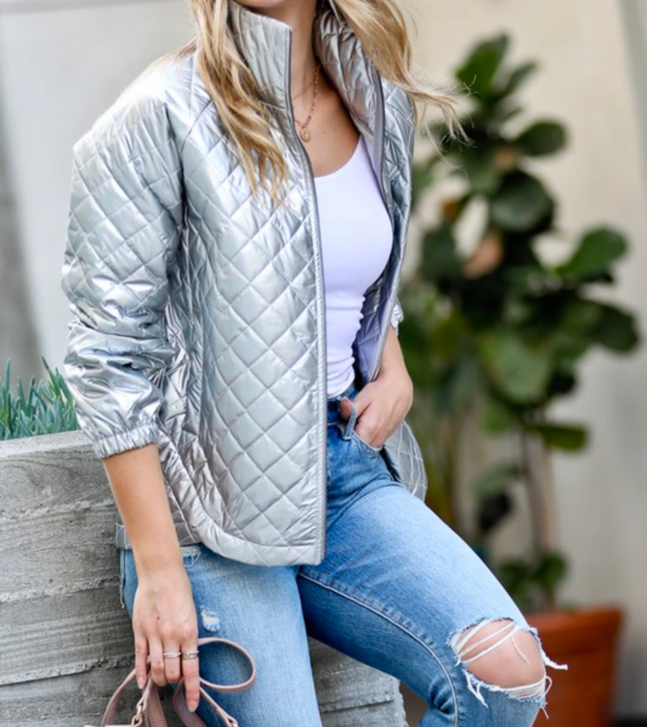 Iceland Silver Metallic Silver Jacket